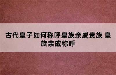 古代皇子如何称呼皇族亲戚贵族 皇族亲戚称呼